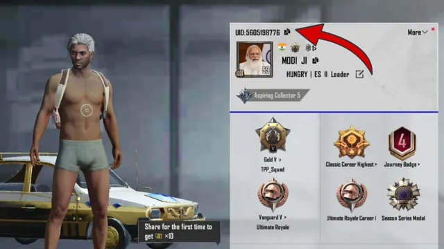 Pubg profile