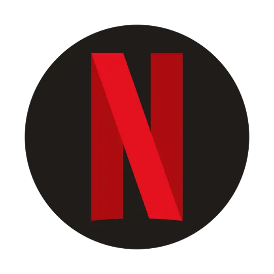 Netflix subscription